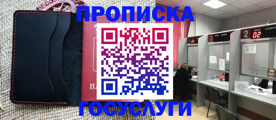 прописка в Сольцах